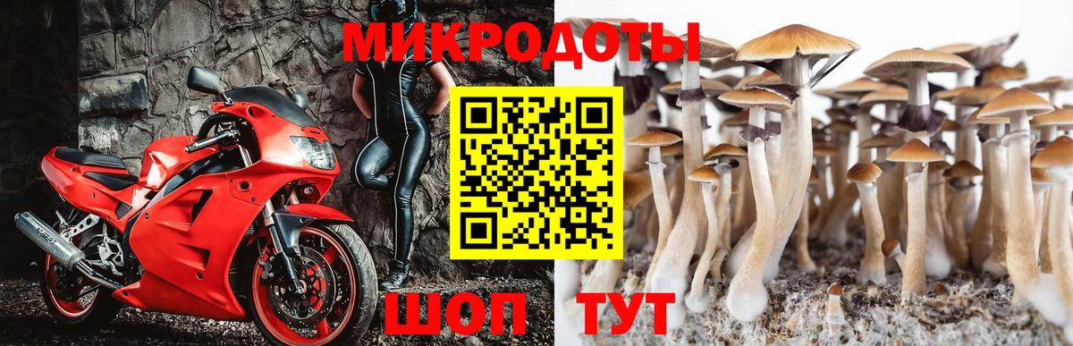 Псилоцибиновые грибы Cubensis  Вход с VPN  Самара 